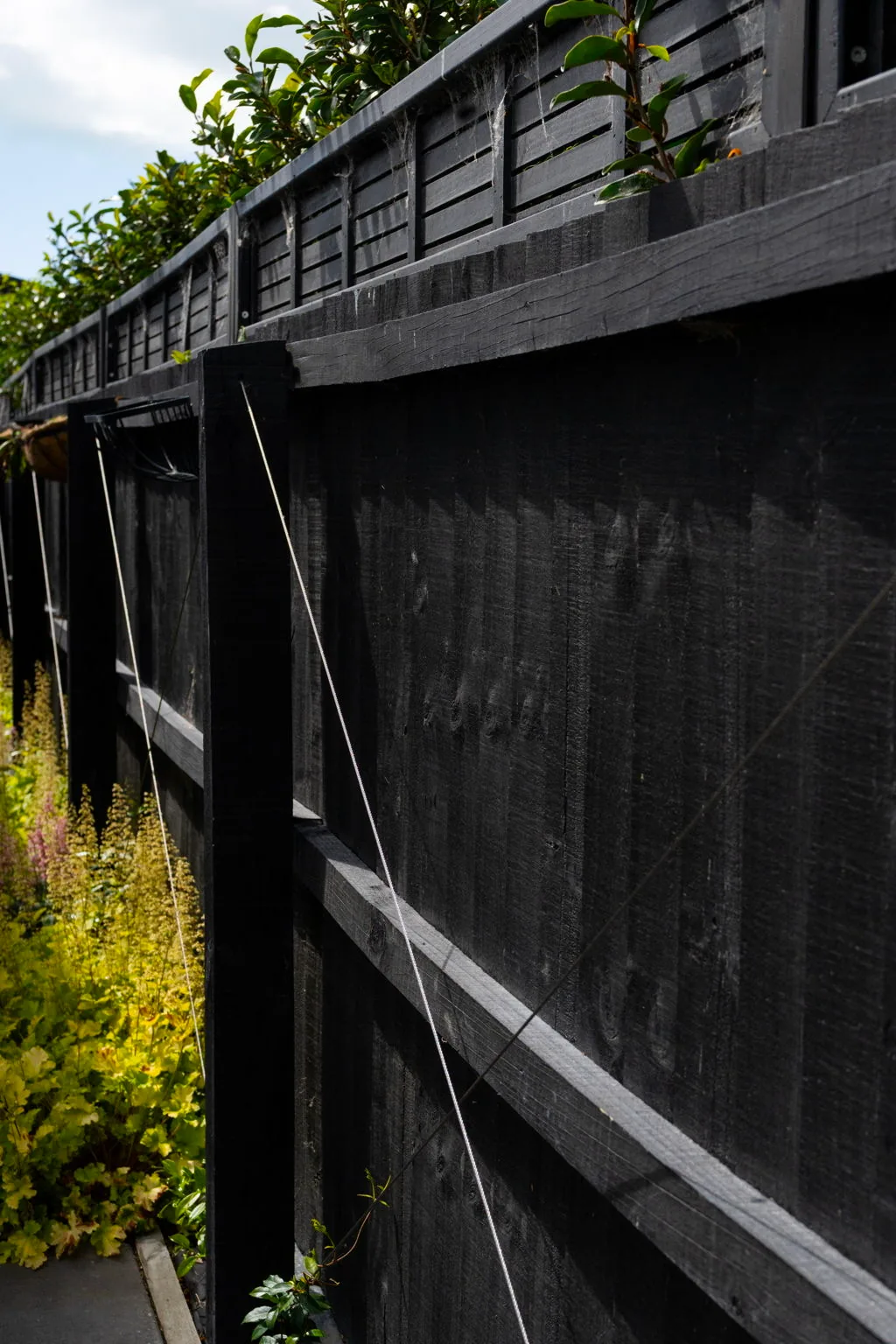 Dark-stained timber fence detail